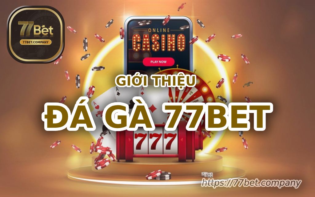 Đá Gà 77Bet - Sân chơi đỉnh cao cho trận chiến kê gay cấn 1 gioi thieu da ga 77bet